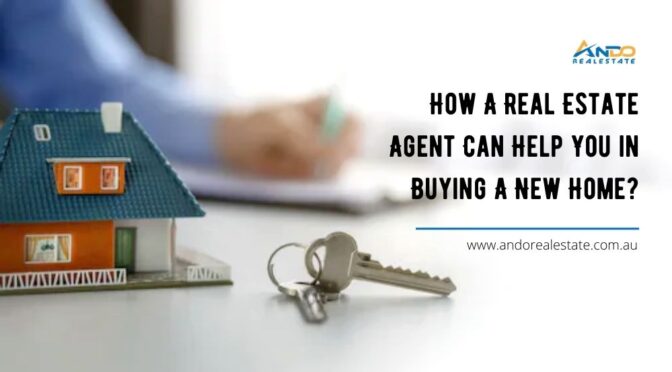 How A Real Estate Agent Can Help You in Buying A New Home?